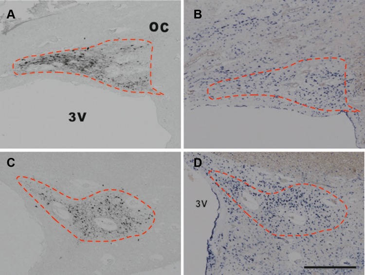 Fig. 3