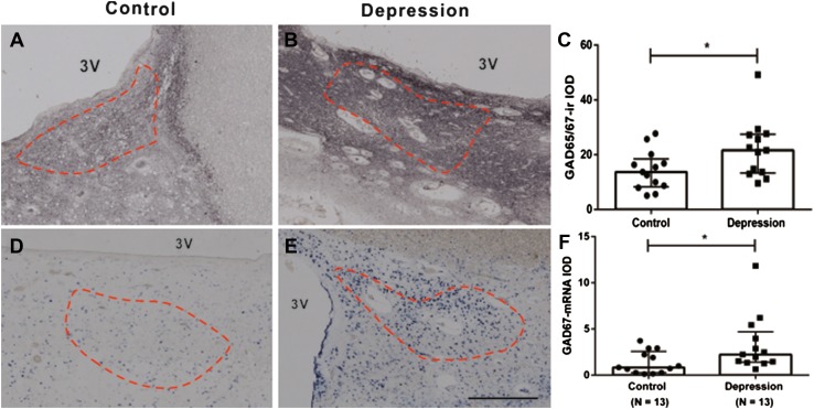 Fig. 4