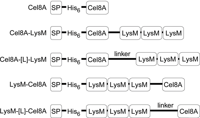 Figure 1: