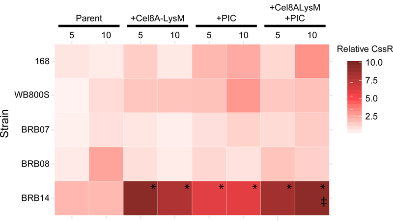 Figure 6: