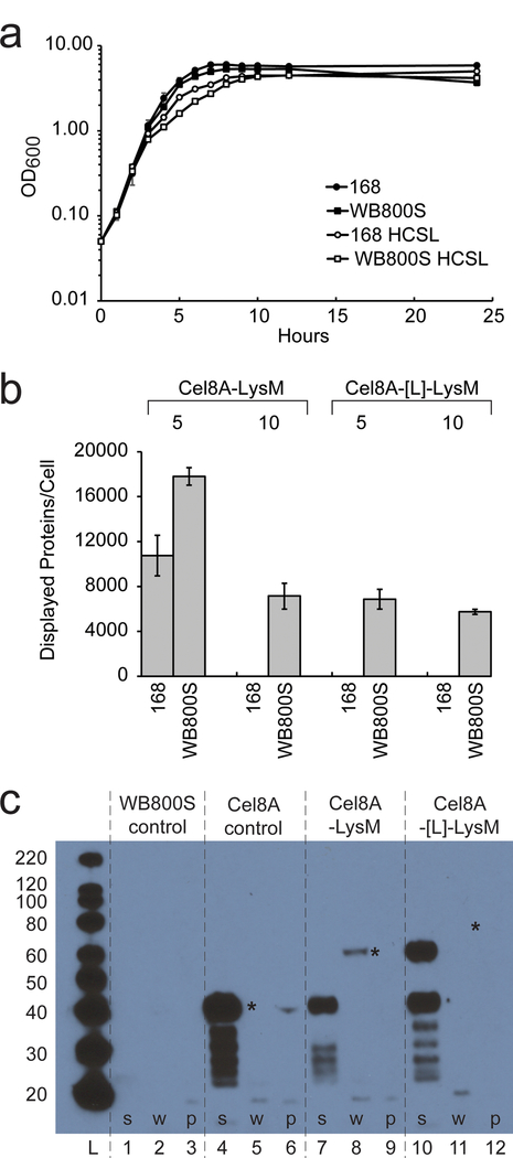 Figure 2: