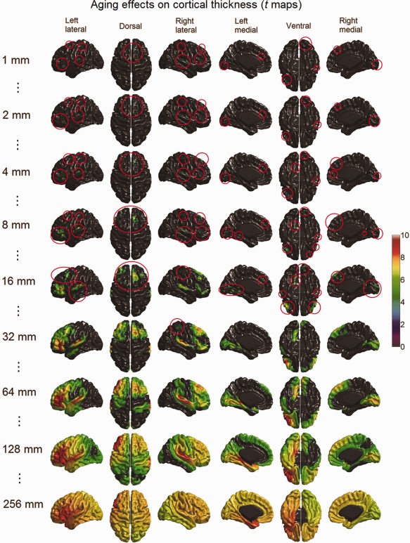 Figure 13