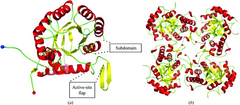 Figure 6