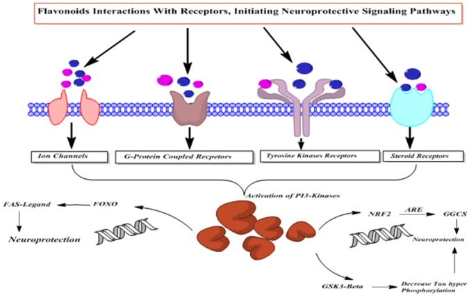 Figure 12