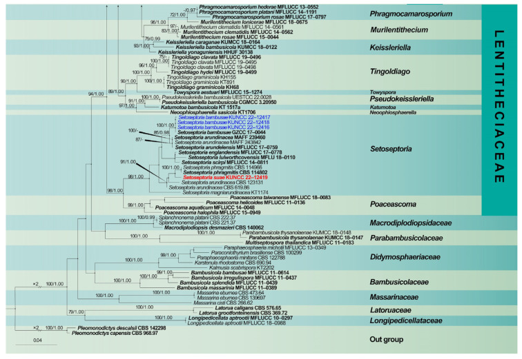 Figure 2