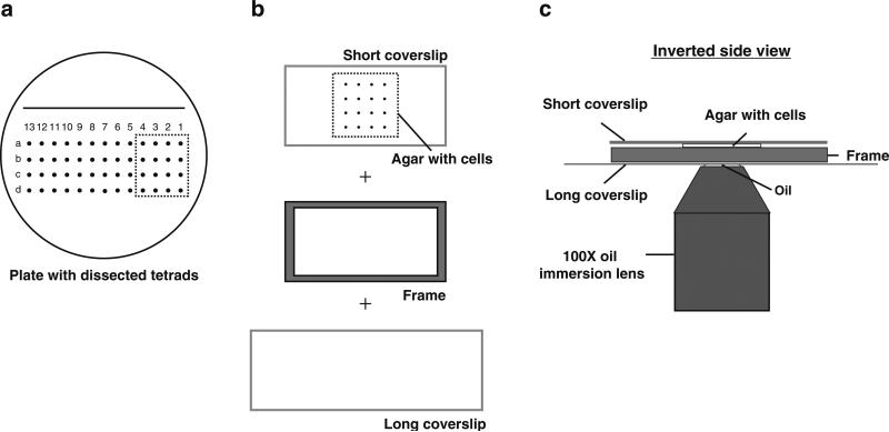 Fig. 3