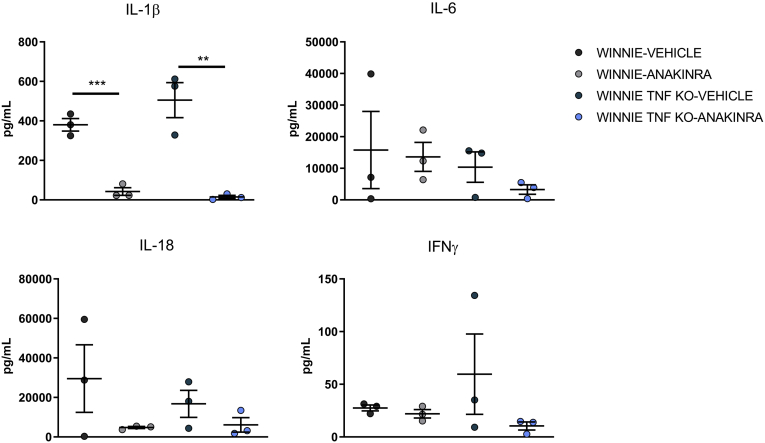 Figure 5