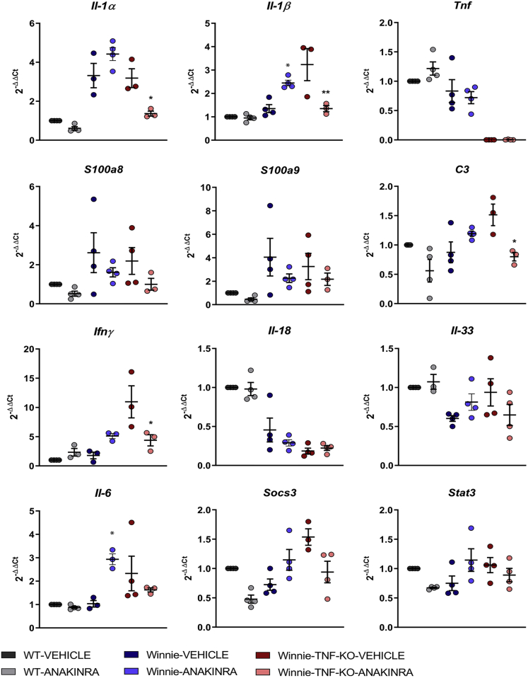 Figure 6