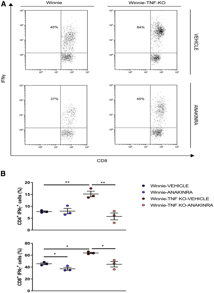 Figure 11