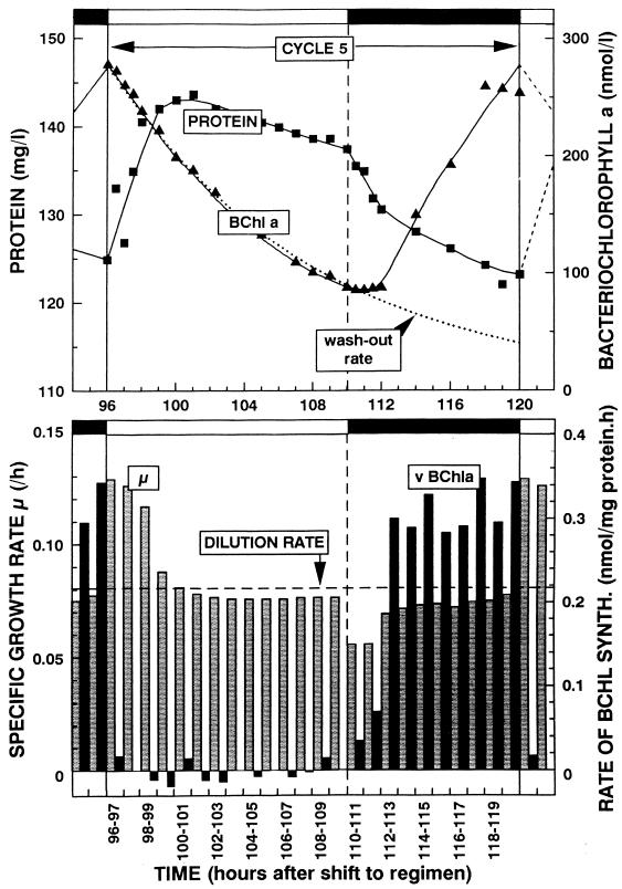 FIG. 12