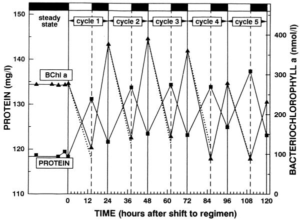 FIG. 11