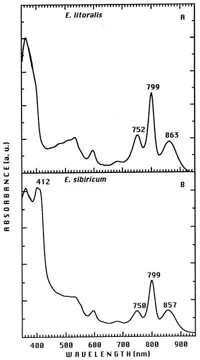 FIG. 8