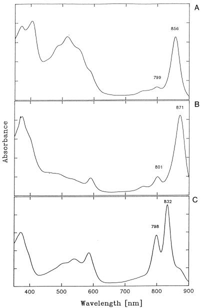 FIG. 7