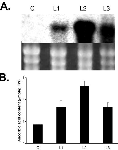 Figure 3.