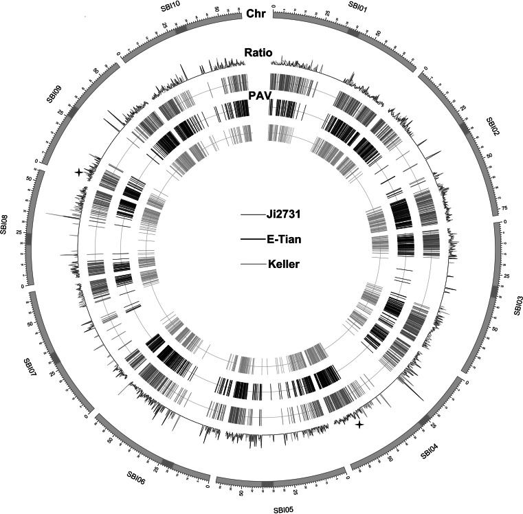 Fig. 2