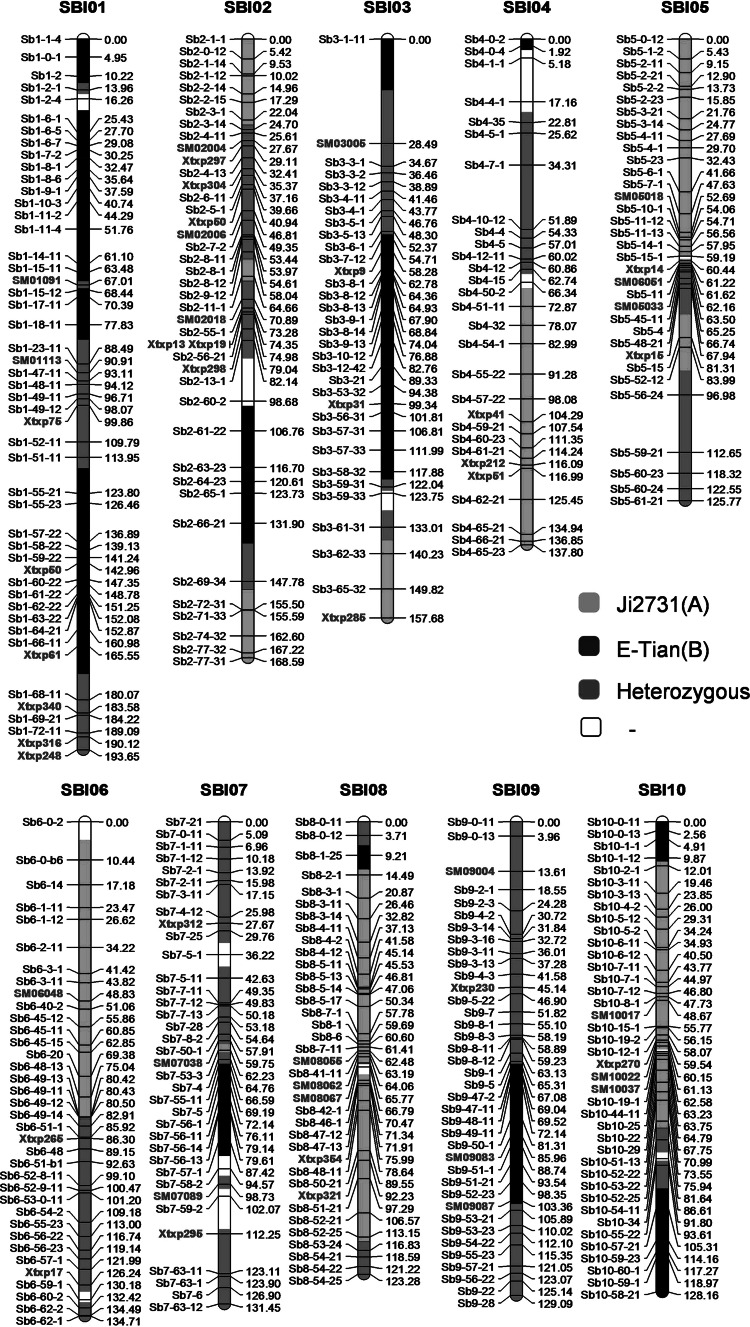 Fig. 5