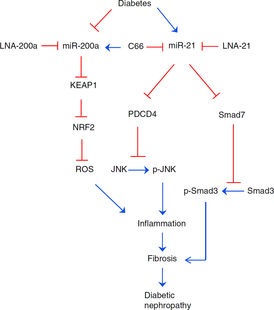 Fig. 8