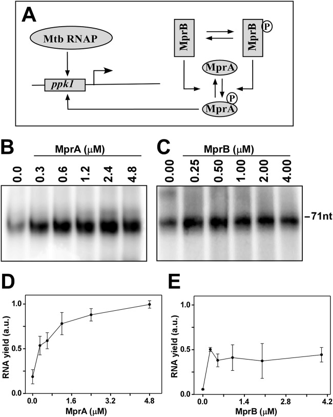 FIG 4