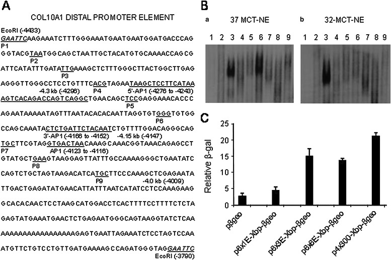 FIG. 3