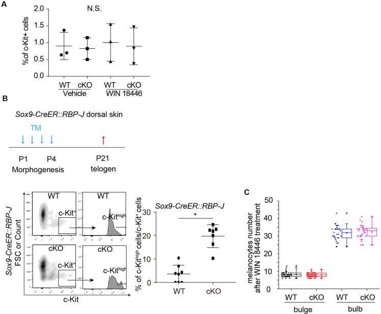 Figure 6—figure supplement 1.