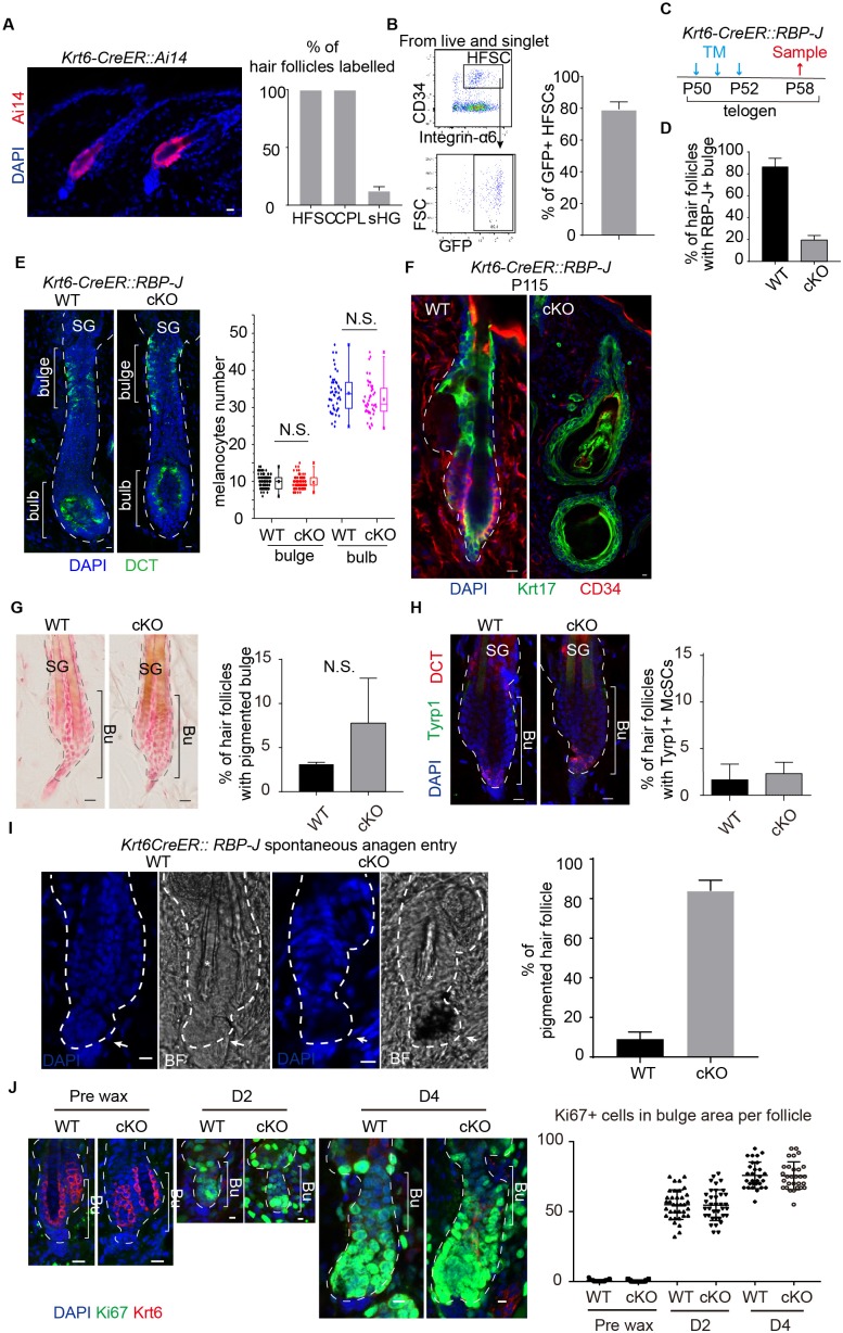 Figure 2—figure supplement 1.