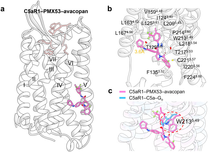 Fig. 24