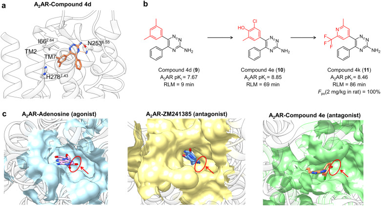 Fig. 10