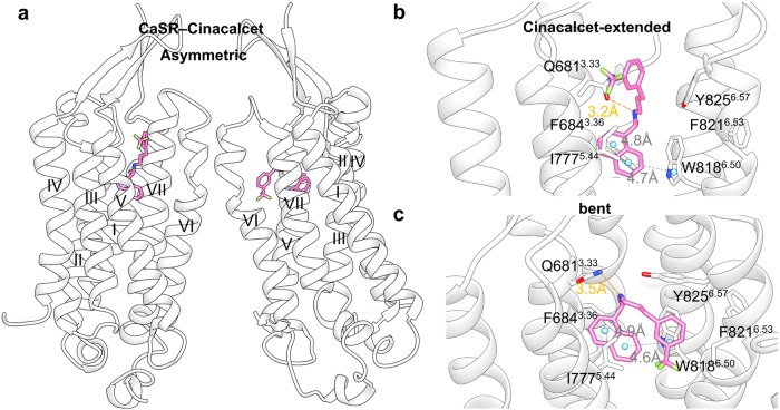 Fig. 18