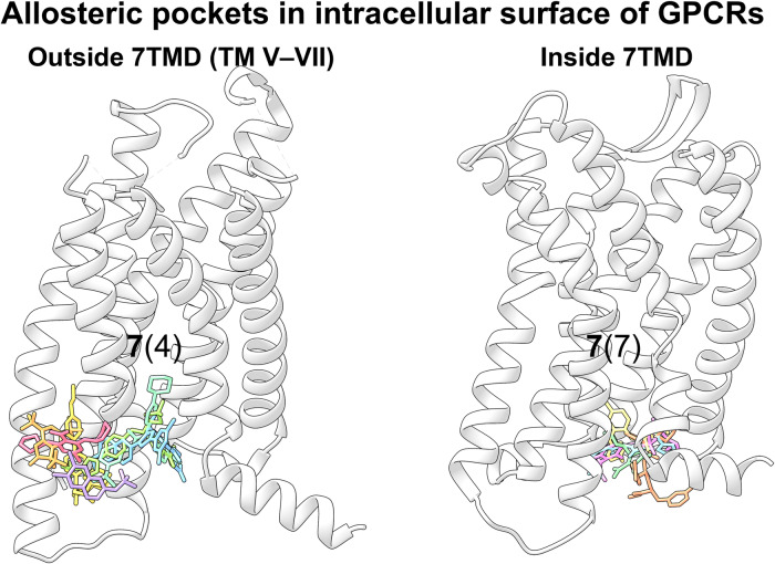 Fig. 31