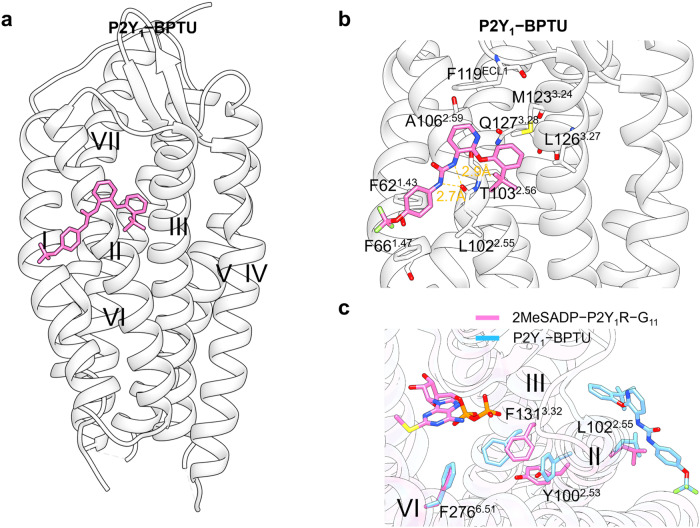 Fig. 21