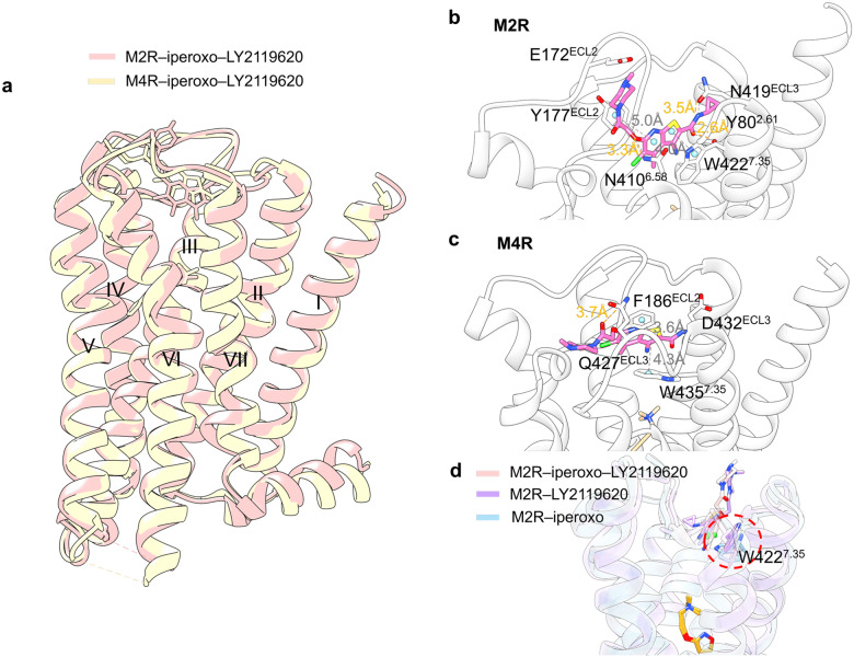 Fig. 17