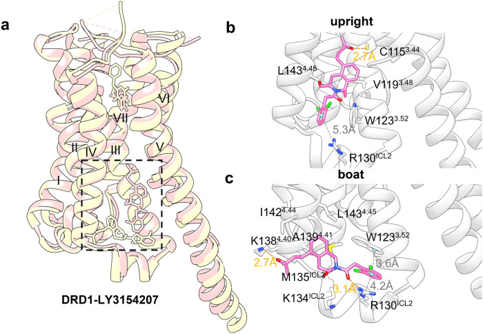 Fig. 23