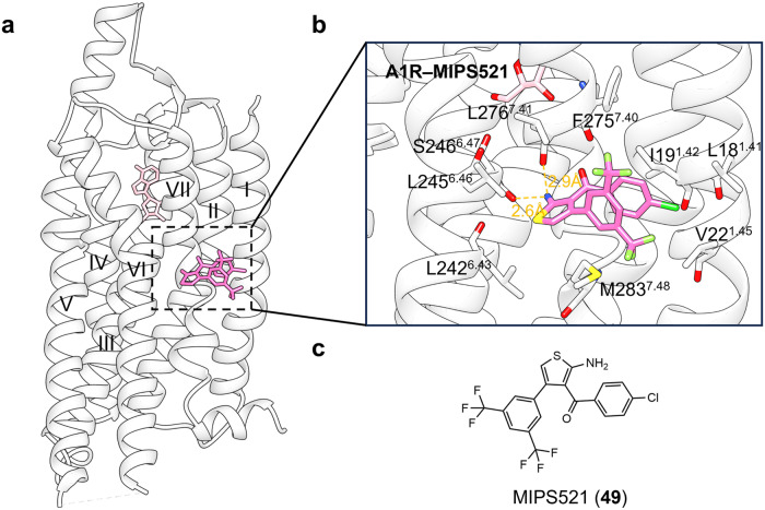 Fig. 26