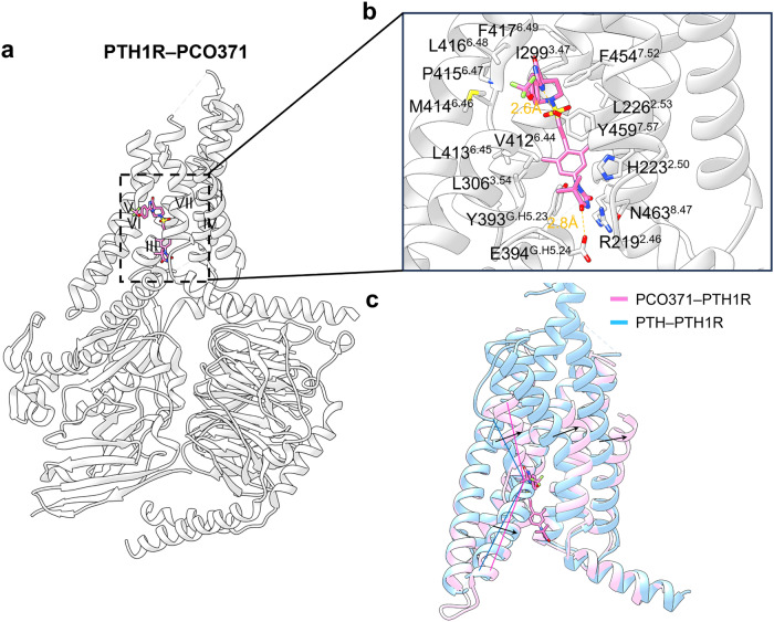 Fig. 30