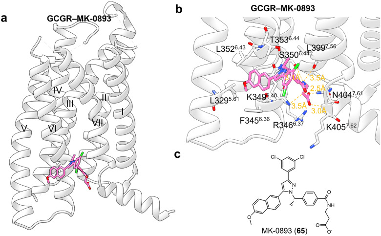 Fig. 34