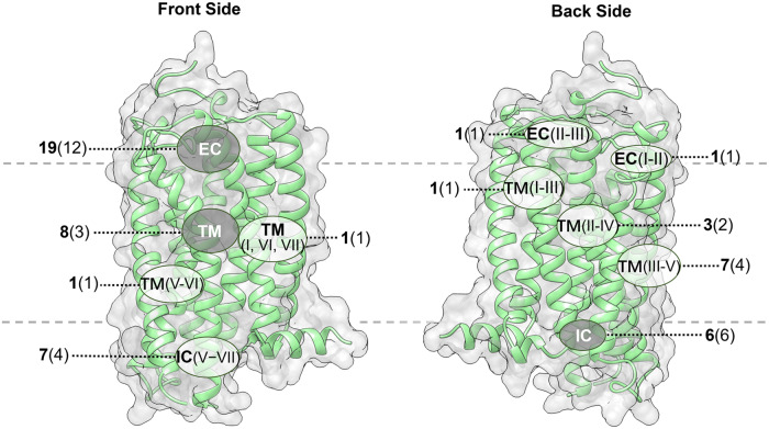 Fig. 12