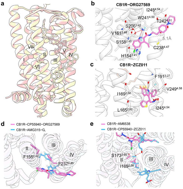 Fig. 22