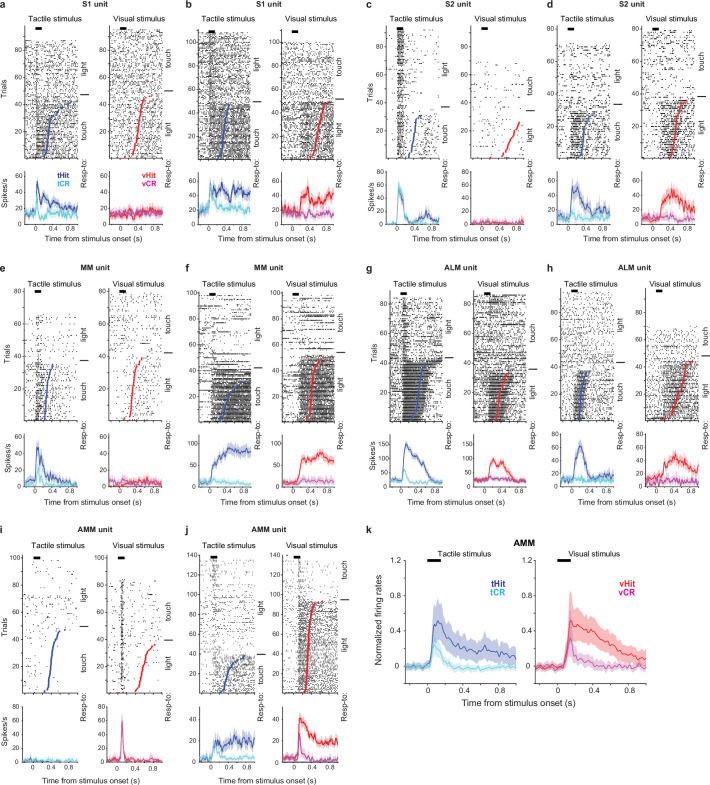 Figure 1—figure supplement 1.