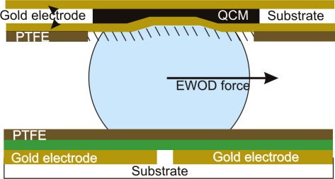 Fig. 4