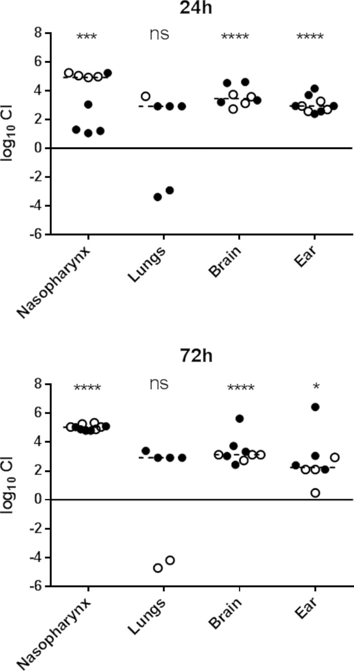 FIG 2