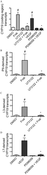 Figure 2A is a bar graph plotting CYP19 transcripts (coding regions) (y-axis) across DMSO, Frsk, U73122, U73122 plus Frsk, VEGF, PD98059, and PD98059 plus VEGF (x-axis). Figure 2B is a bar graph plotting PII-derived CYP19 transcripts (y-axis) across DMSO, Frsk, U73122, and U73122 plus Frsk (x-axis). Figure 2C is a bar graph plotting I.3-derived CYP19 transcripts (y-axis) across DMSO, Frsk, U73122, and U73122 plus Frsk (x-axis). Figure 2D is a bar graph plotting I.7-derived CYP19 transcripts (y-axis) across DMSO, VEGF, PD98059, and PD98059 plus VEGF (x-axis).