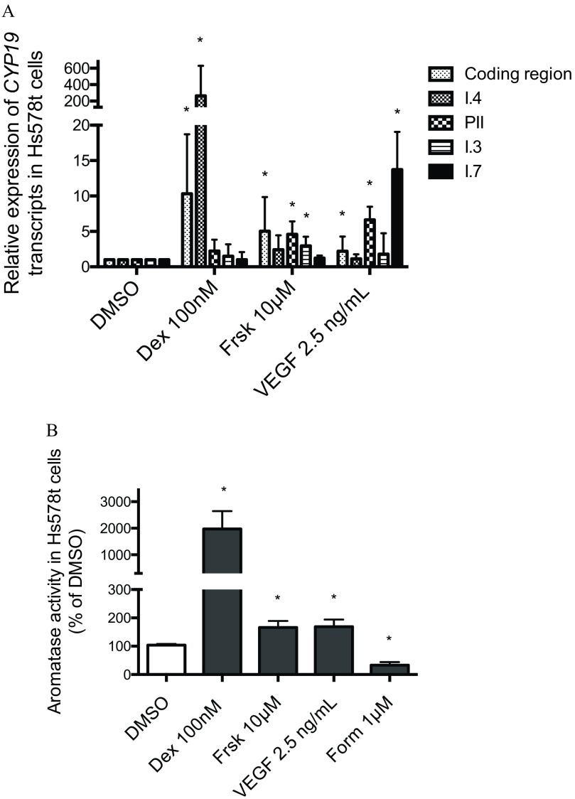 Figure 1A is a bar graph plotting relative expression of CYP19 transcripts in Hs578t cells (y-axis) across DMSO, Dex 100 nanomolar, Frsk 10 micromolar, and VEGF 2.5 nanograms per milliliter (x-axis) for the coding region and promoters I.4, P II, I.3, and I.7 transcripts. Figure 1B is a bar graph plotting aromatase activity in Hs578t cells (percentage of DMSO) (y-axis) across DMSO, Dex 100 nanomolar, Frsk 10 micromolar, VEGF 2.5 nanograms per milliliter, and Form 1 micromolar (x-axis).