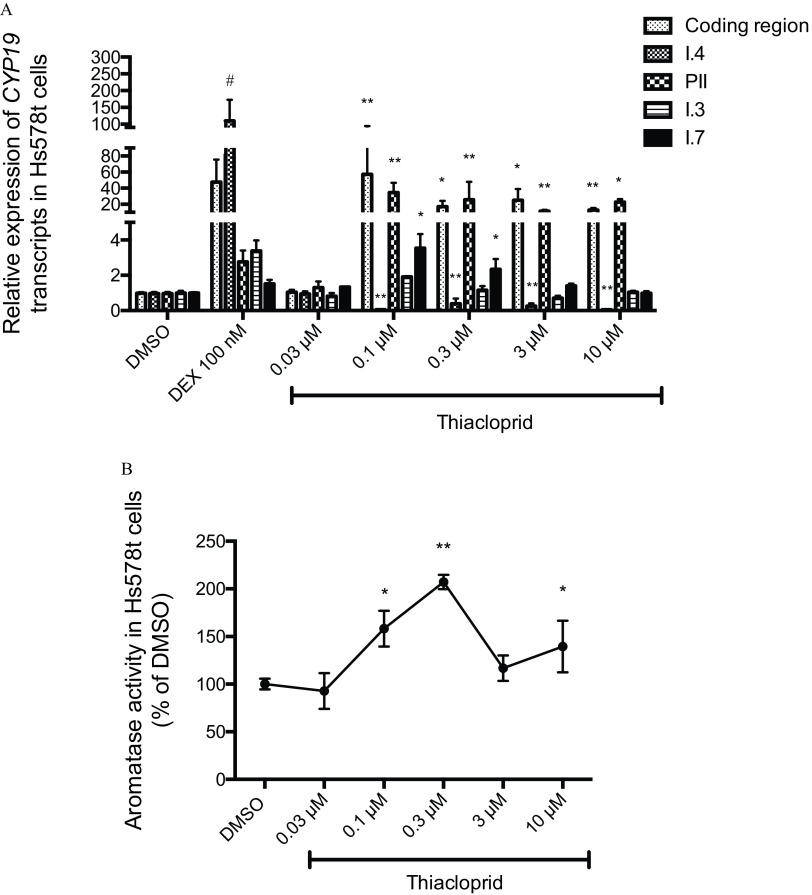 Figure 3A is a bar graph plotting relative expression of CYP19 transcripts in Hs578t cells (y-axis) across DMSO, Dex 100 nanomolar, and thiacloprid 0.03, 0.1, 0.3, 3, and 10 micromolar (x-axis) for the coding region and promoters I.4, P II, I.3, and I.7 transcripts. Figure 3B is a line graph plotting aromatase activity in Hs578t cells (percentage of DMSO) (y-axis) across DMSO and thiacloprid 0.03, 0.1, 0.3, 3, and 10 micromolar (x-axis).