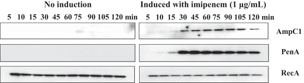 FIG 5