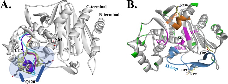 FIG 2