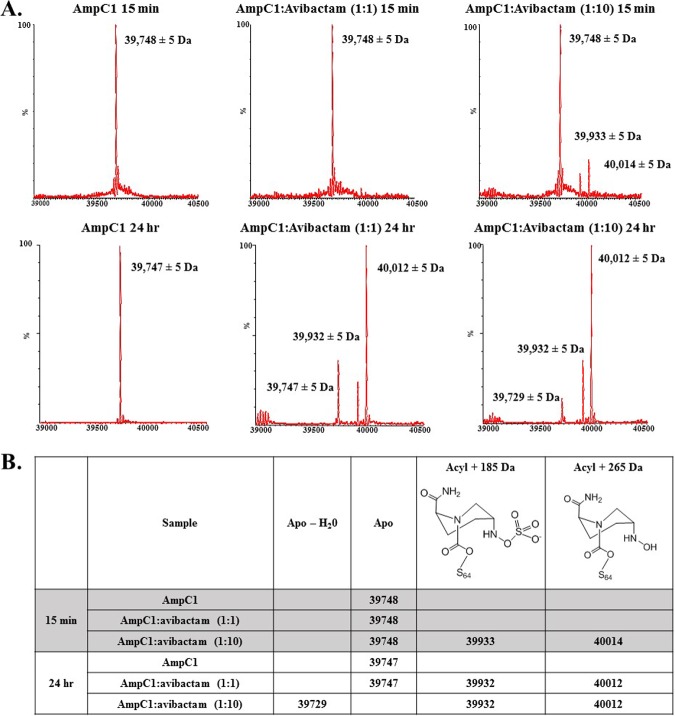 FIG 3