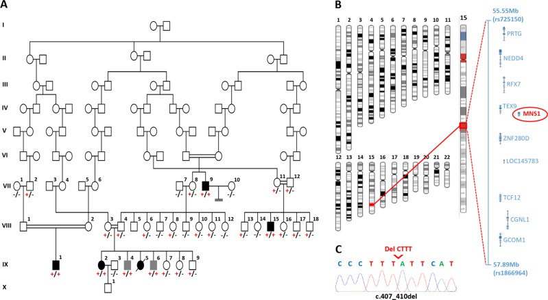 Fig. 1