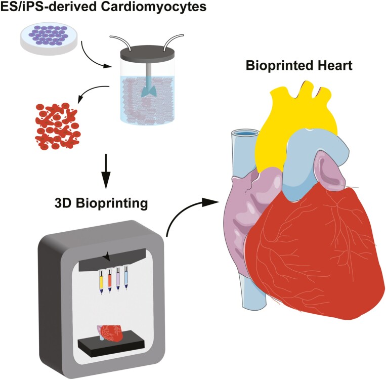 Graphical Abstract