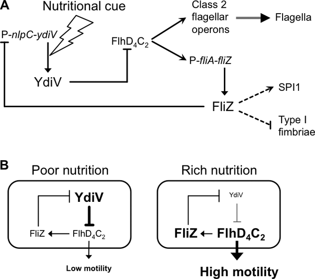 Fig. 5.