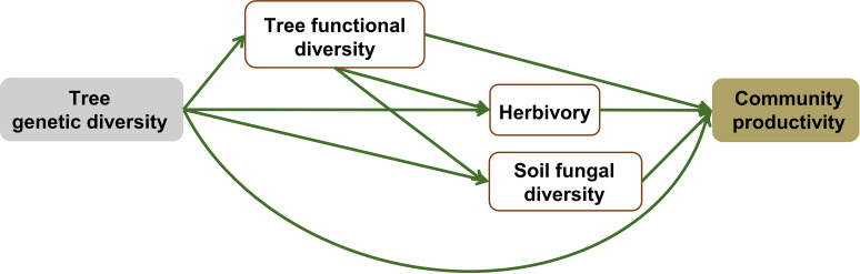 Figure 5—figure supplement 2.